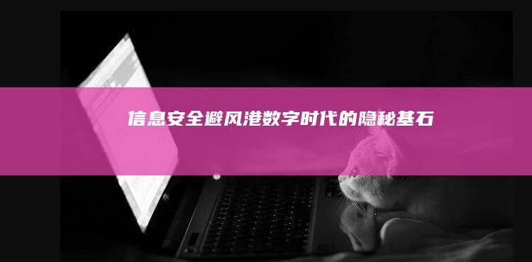 信息安全避风港：数字时代的隐秘基石